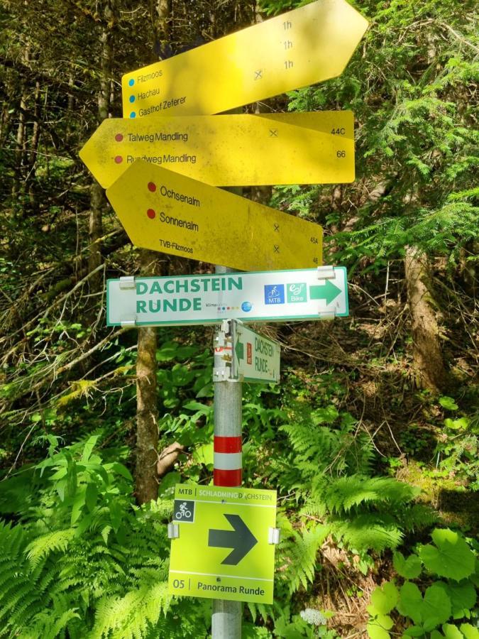 Geringer Schladming